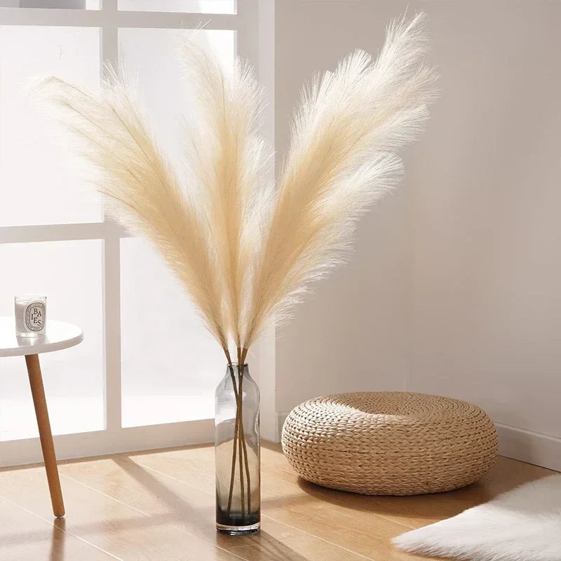 Διακοσμητικά Pampas Grass